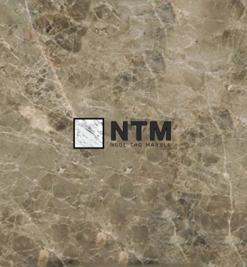 Đá Cẩm Thạch Marble Vỏ Sò Xám